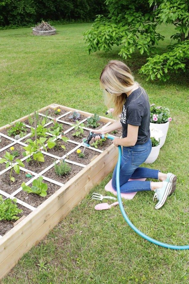 How to make a home vegetable garden